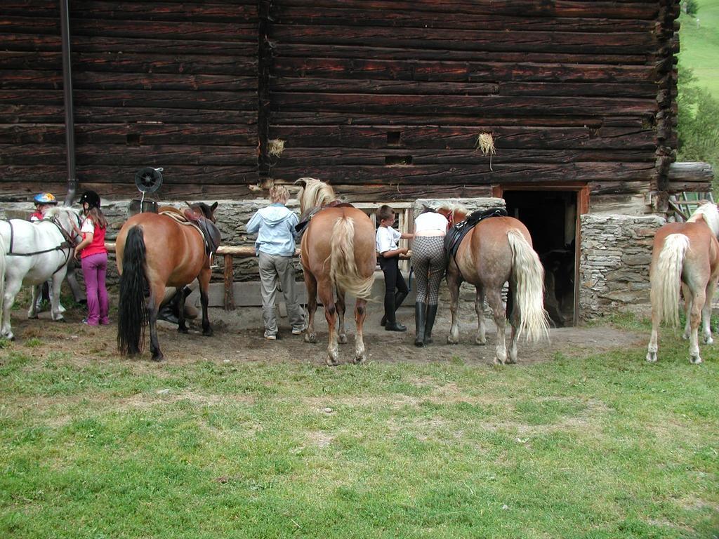 Familienparadies Wolfgangbauer Heiligenblut am Großglockner