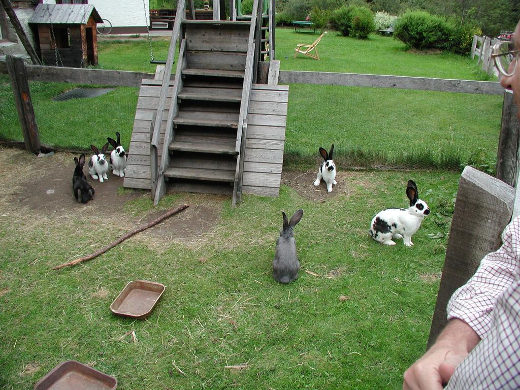 Apartment Familienparadies Wolfgangbauer Heiligenblut am Großglockner